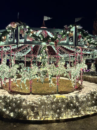 Luminaria at Thanksgiving Point