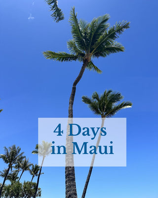 4 Days in Maui
